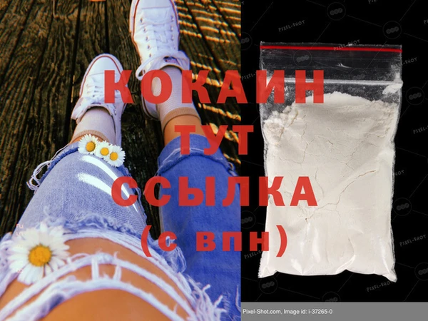 скорость Тайга