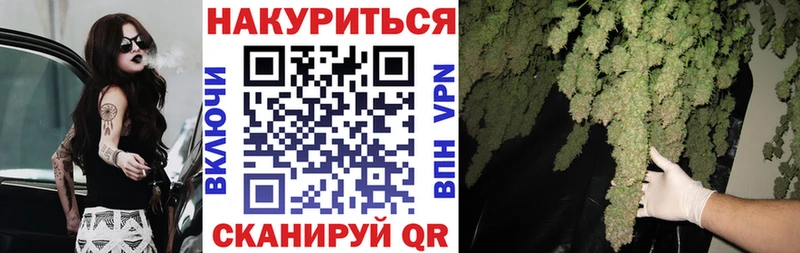 магазин  наркотиков  Михайловск  ОМГ ОМГ вход  Каннабис план 